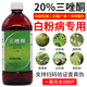 劍牌20%三唑酮乳油月季白粉病花藥多肉粉銹寧梨樹(shù)小麥銹病農藥殺菌劑 500ml