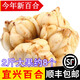 辰實(shí)宜興新鮮百合【新貨發(fā)順豐】 食用大百合 特產(chǎn)微苦軟糯 2斤大果百合（約8個）推薦