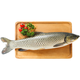 鮮活放心草魚(yú)1-1.25kg/條