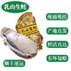 【鮮活】乳山生蠔 特大牡蠣海蠣子 生鮮國慶送禮海鮮水產(chǎn)貝 凈重9斤 3-4兩/個 —家庭聚餐