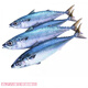 青魚(yú)鮐鲅魚(yú)青占魚(yú)新鮮鮐鲅魚(yú)青花魚(yú)片青條魚(yú)深海鮐鲅魚(yú)片海鮐鲅 鮐魚(yú) 5斤