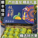寶小滿廣西百色 桂七芒果【順豐/韻達(dá)】 產(chǎn)地直發(fā) 【禮盒裝順豐】8.3斤果王(300g+)