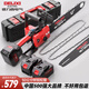 德力西電氣（DELIXI ELECTRIC）電鋸戶外鋰電電鋸鋰電池家用小型手持電鏈鋸電動(dòng)鋸柴伐木鋸大功率 12寸【15節(jié)電池兩電一充】2鏈1導(dǎo)