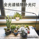 賽瑞特 夾子全光譜生長(zhǎng)燈仿太陽光調(diào)光定時(shí)植物燈魚缸草缸微景觀補(bǔ)光燈 黑色單管全光譜12w