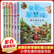 親愛(ài)的笨笨豬 彩圖注音版全套6冊 楊紅櫻系列童話(huà) 小學(xué)生課外書(shū)兒童睡前故事書(shū)