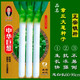 三育系列山東正宗章丘大蔥種子 鐵桿大梧桐蔥種籽 蔥白長(cháng)四季水果種孑脆甜 20克中華巨蔥原裝袋約4000粒
