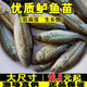 彌翠園加州鱸魚(yú)苗淡水養殖大口黑鱸路亞兇猛肉食優(yōu)鱸3號批發(fā)鱸魚(yú)苗 200條4-6厘米鱸魚(yú)苗送16條防損