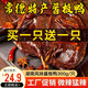 珊珀湖湖南特產醬板鴨300g*2只手撕風干即食醬板鴨麻辣小吃休閑鴨肉零食 醬板鴨【微辣味】300g*2 到手2只