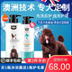 4LEGS泰迪沐浴露狗狗沐浴露棕紅專用貴賓犬洗發(fā)水除臭殺菌持久留香狗狗洗澡沐浴液 巧克力色專用