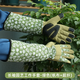 園藝手套花藝防刺防水工具花園種花月季園林種植果樹(shù)戶(hù)外 長(cháng)袖園藝工作手套-綠樹(shù)葉