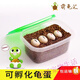 烏龜?shù)翱煞趸馓林腥A草龜?shù)皩櫸锏靶W(xué)生孵化烏龜活物龜龜受精蛋 4顆蛋（孵化盒+蛭石+噴壺 +糧） 中華草龜?shù)? title=