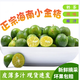 獨(dú)愛(ài)（DUAR）海南小青金桔 新鮮金桔 當(dāng)季新鮮青桔青橘水果酸爽皮薄多汁 1斤