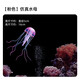 魚缸裝飾魚缸創(chuàng)意造景仿真熒光水母熒光漂浮式水母珊瑚水族箱裝飾假山石造景套餐魚缸擺件 粉色