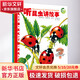 動(dòng)物王國大探秘全4冊 6-12歲中小學(xué)生一二三四年級趣味兒童科普 暑期寒假課外閱讀推薦 學(xué)科啟蒙寫(xiě)作素材