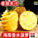 甜野里【順豐發(fā)貨】海南三亞小菠蘿香水菠蘿10斤整箱香甜可口當(dāng)季水果 9斤 1斤左右