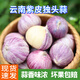 鹽玖玖云南紫皮獨(dú)頭大蒜2024年新蒜紫皮蒜高原農(nóng)家露天自種助農(nóng)產(chǎn)品 2.2cm小果 3斤