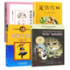 全套4冊窗邊的小豆豆+夏洛的網(wǎng)+時代廣場的蟋蟀+長襪子皮皮三四五年級小學(xué)生課外閱讀書籍兒童文學(xué)書