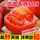 果淳樂沙瓤西紅柿 普羅旺斯 可生吃新鮮水果大番茄農(nóng)家蔬菜普羅旺斯 沙瓤西紅柿    帶箱3斤裝