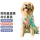 寵星記 狗狗衣服 沙灘風(fēng)襯衫 中大型 冬季居家防飄毛金毛 金毛薩摩哈士 紅色夏威夷4XL 胸圍68-73cm