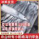 七條船舟山雷達(dá)網(wǎng)釣帶魚大號油帶新鮮野生海魚海鮮水產(chǎn)東海小眼睛黑刀魚 1-1.5斤/條——4斤