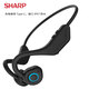 SHARPSHARP HP-EW08H穿戴式氣傳導(dǎo)掛耳真無(wú)線藍(lán)牙耳機(jī)運(yùn)動(dòng)護(hù)耳超長(zhǎng)待機(jī)續(xù)航 黑色