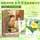 系列自選】盛夏小說實(shí)體書木蘇里著書籍 盛夏序章小說白馬時(shí)光 某某正版全套續(xù)集新增萬字番外《旅人》和《習(xí)慣》的作者 盛夏+盛夏序章全套2冊(cè)(刷邊典藏版)某某小說