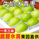 爾蝶云南牛奶大青棗 貴妃奶蜜棗新鮮水果甜脆孕婦水果整箱 精選5斤裝 凈重4.5斤