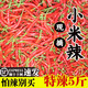 囧仙子小米辣椒新鮮1-5斤特辣小米椒朝天椒超辣薄皮土紅辣椒指天椒 紅小米辣椒 5斤