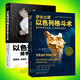 正版 以色列格斗術(shù)+以色列馬伽術(shù) 徒手格斗大全 格斗書籍 徒手近身自由搏擊擒拿格斗防身術(shù)自衛(wèi)實(shí)用L