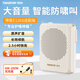 得勝（TAKSTAR） HM-200W小蜜蜂擴音器無(wú)線(xiàn)耳麥教師導教學(xué)導游專(zhuān)用頭戴式麥克風(fēng)通用話(huà)筒音響 官方標配+E126S米黃色