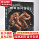 專(zhuān)業(yè)主廚的地中海料理教本 河南科學(xué)技術(shù)出版社 謝宜榮 著 書(shū)籍 圖書(shū)