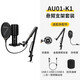 7RYMS七語(yǔ)（7RYMS）AU01直播配音麥克風(fēng)電腦桌面USB電容麥克風(fēng)內置聲卡專(zhuān)業(yè)全指向錄制K歌錄音設備 【懸臂支架套裝】全設備通用 官方標配