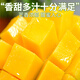 顏小葒廣西百色金煌芒青皮金煌芒新鮮芒果大臉芒熱帶應(yīng)季新鮮水果 8斤精選大果（禮盒裝）