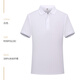 北羅定制T恤夏季POLO工作服短袖餐飲企業(yè)團(tuán)建工裝翻領(lǐng)廣告衫印字LOGO HT-601冰絲短袖 白色 XL 【免費(fèi)看樣】