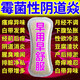 米柔暖宮中藥艾草護墊女私處純棉抑菌止癢去白帶異味排宮臟專用衛(wèi)生巾 棉柔 180mm 12片 【買2送1】3盒裝
