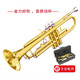 叢林部落小號樂器降B調(diào)小號兒童學(xué)生青年號三音西洋管樂初學(xué)考級樂隊(duì)小號 經(jīng)典演奏款