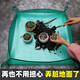 綠園匠 園藝地墊防水防漏土翻換盆裝拌換土加厚墊子操作墊種植墊1米*1米