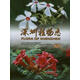 深圳植物志 第3卷 深圳市中國科學(xué)院仙湖植物園　著(zhù) 中國林業(yè)出版社 9787503868283