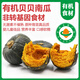 【有機貝貝南瓜 新疆】新鮮蔬菜正宗板栗味小南瓜孕婦寶兒童粗糧 【有機貝貝南瓜】 4.5斤 -家庭裝