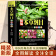 【全書實(shí)拍】本草綱目 精裝正版中草藥圖譜本草綱目原版全套李時(shí)珍中草藥彩圖中醫(yī)基礎(chǔ)理論大全神農(nóng)本草經(jīng)李時(shí)珍全集中醫(yī)養(yǎng)生書籍