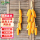 呂姆克仿真藤條蔬菜假花仿真藤蔓影視拍攝擺件道具飯店櫥窗掛件2條7832