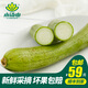 小湯山 絲瓜 約400g 新鮮蔬菜基地種植當天采摘