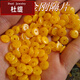 杜緹 雞油黃優(yōu)化二代蜜蠟墊片隔片手串隔珠散珠大金剛星月菩提配飾 薄款直徑6mm厚1.8(一包15片)