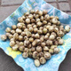 采緹（CAITI）四川本地小蒜苦芥生苦茭苦藠小根蒜苦蒜苦叫薤白 新鮮團(tuán)蔥【小號(hào)】 一斤裝