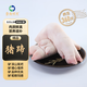 魯南順發(fā)整只豬蹄 4只共1800g 源頭直發(fā)