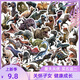50張恐龍貼紙原古動物游戲裝飾個性復(fù)古兒童幼兒園筆記本作業(yè)卡通 A款 50張恐龍貼紙