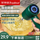 榮事達（Royalstar） 打蛋器電動(dòng)家用手持奶油打發(fā)器廚房打蛋機無(wú)線(xiàn)迷你烘焙攪拌器 高貴綠【三檔+藍光面板+強動(dòng)力】快樂(lè )烘焙