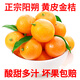 七葉島  正宗陽(yáng)朔黃皮小金桔油皮麻皮小金橘酸甜多汁廣西金桔現摘新鮮水 酸甜多汁黃皮小金桔 普通包裝 3斤