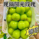 嘉笙美山東正宗陽(yáng)光玫瑰晴王葡萄-JD送貨上門 無(wú)籽提子新鮮節(jié)日水果禮盒 2斤嘗鮮果 單粒6g-8g 凈重1.5斤