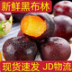果農俠新摘黑布林新鮮水果孕婦當季酸甜李子現貨速發(fā) 3斤